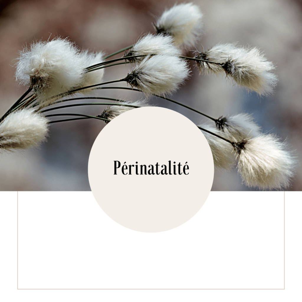 Périnatalité
